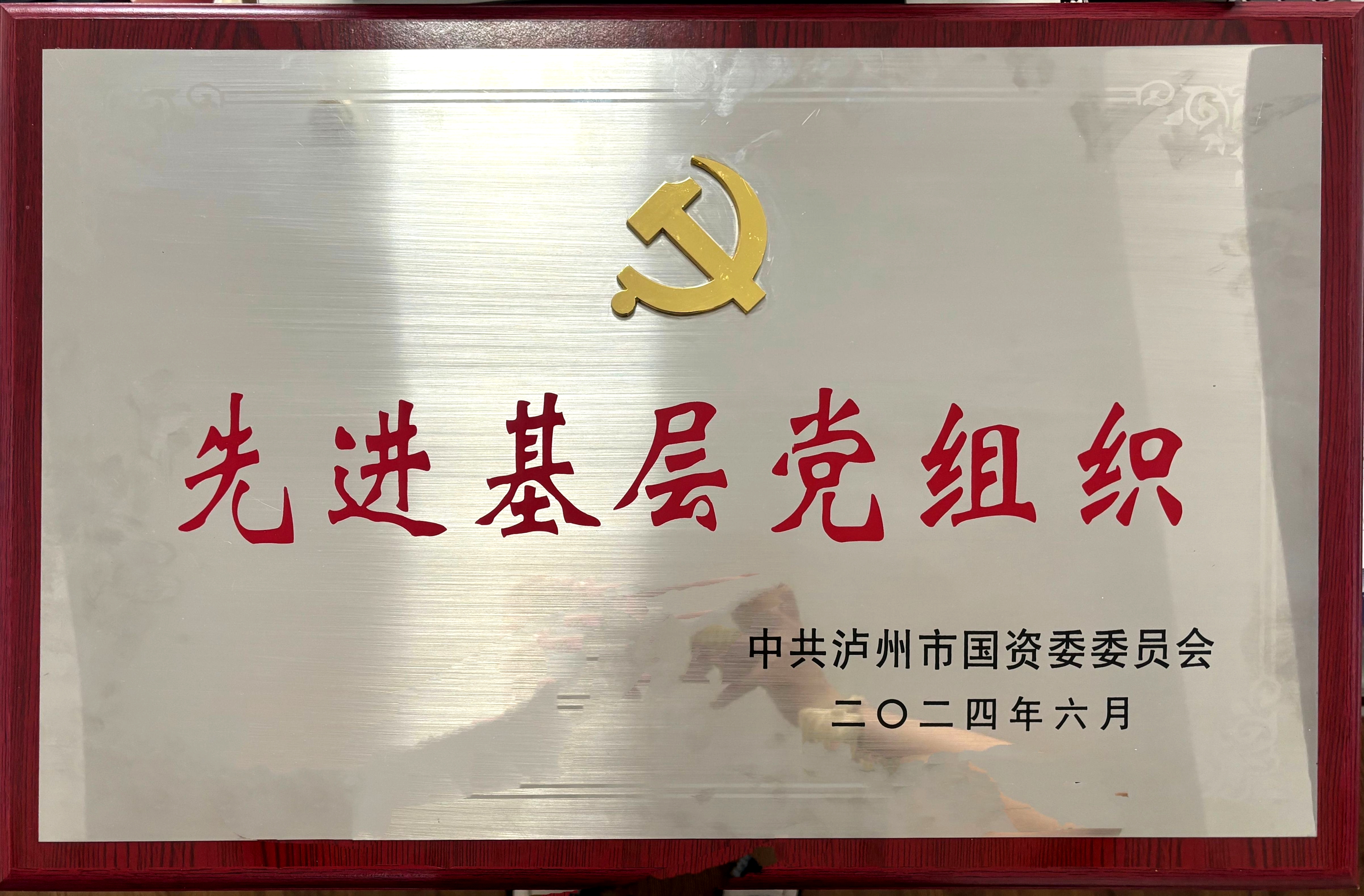 喜報！醫療投資公司黨支部獲評市國資系統先進基層黨組織